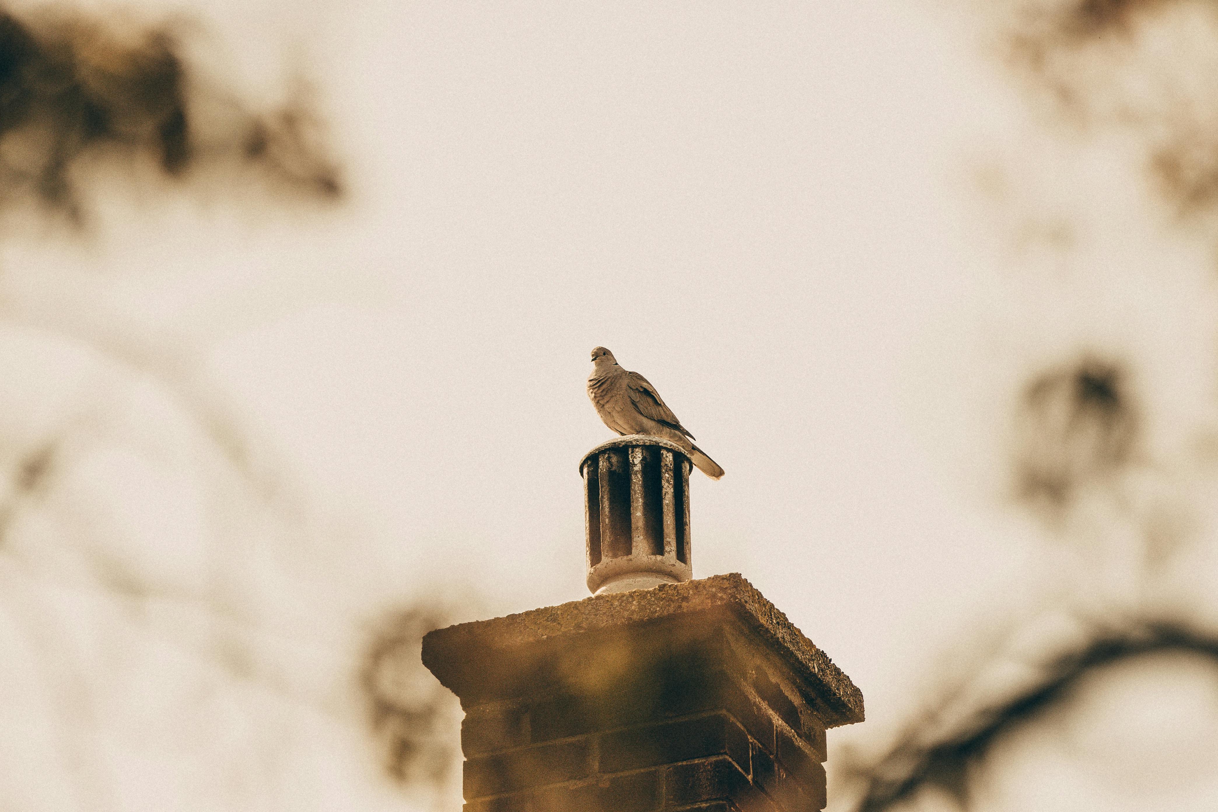 Professional Chimney Cap Installation Services in Agoura Hills, CA Expert Chimney Cap Installation in Agoura Hills, California